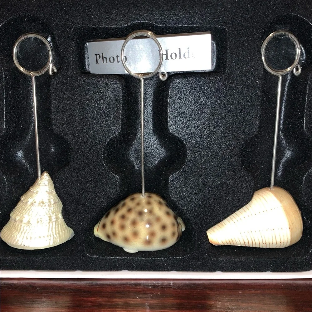 Pier 1 Home Studio Set of 3 Seashell Photo Holders Three Unique Picture Holder